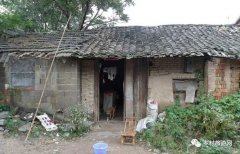 孽子情债（连载7）